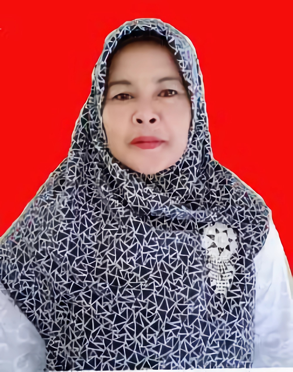 DARNAWATI BR PINEM.jpg